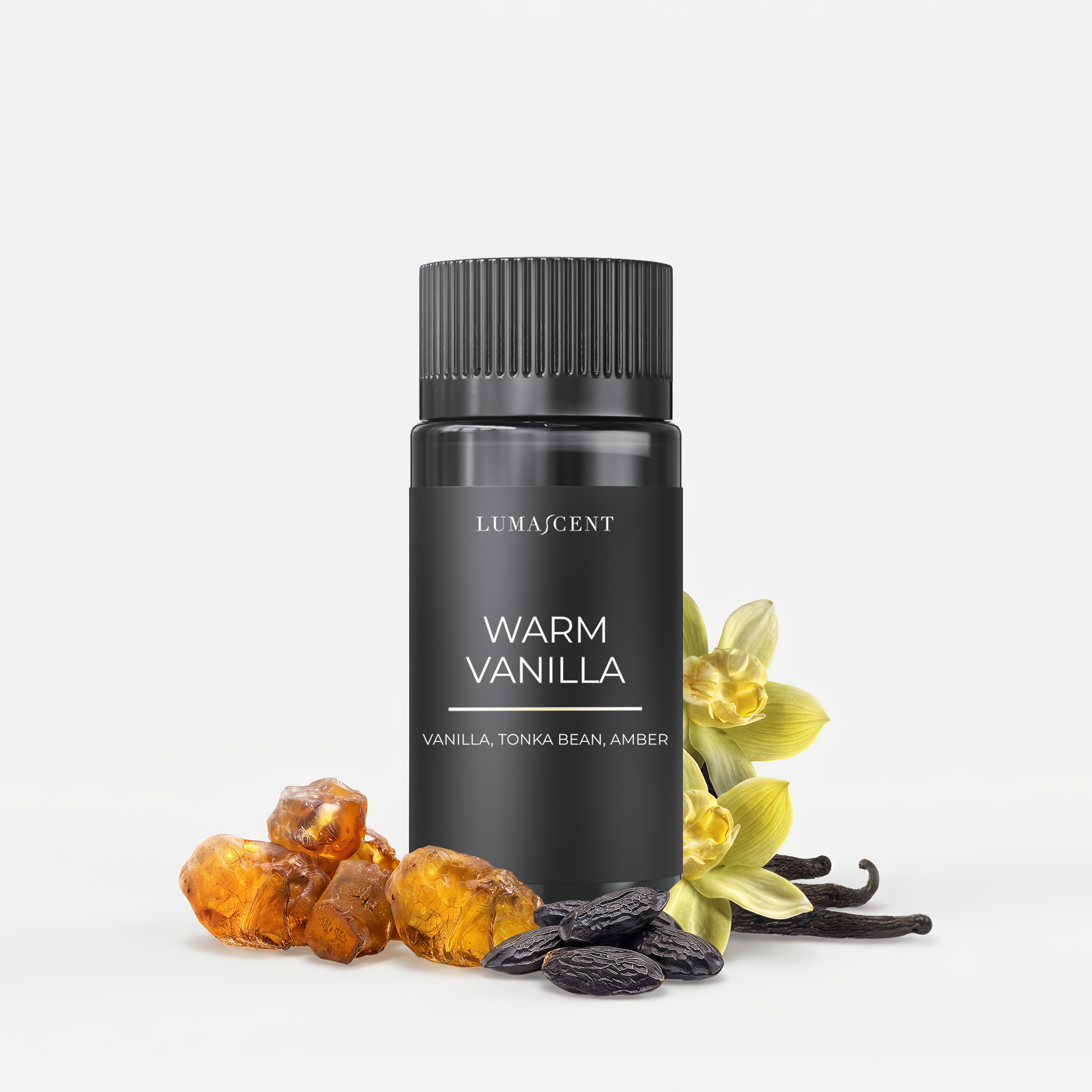 Warm Vanilla