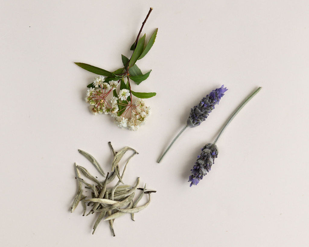 White Tea