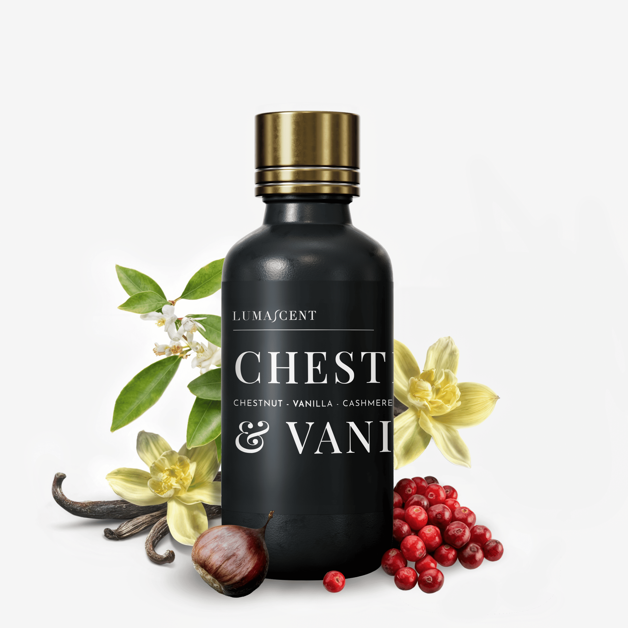 Chestnut & Vanilla