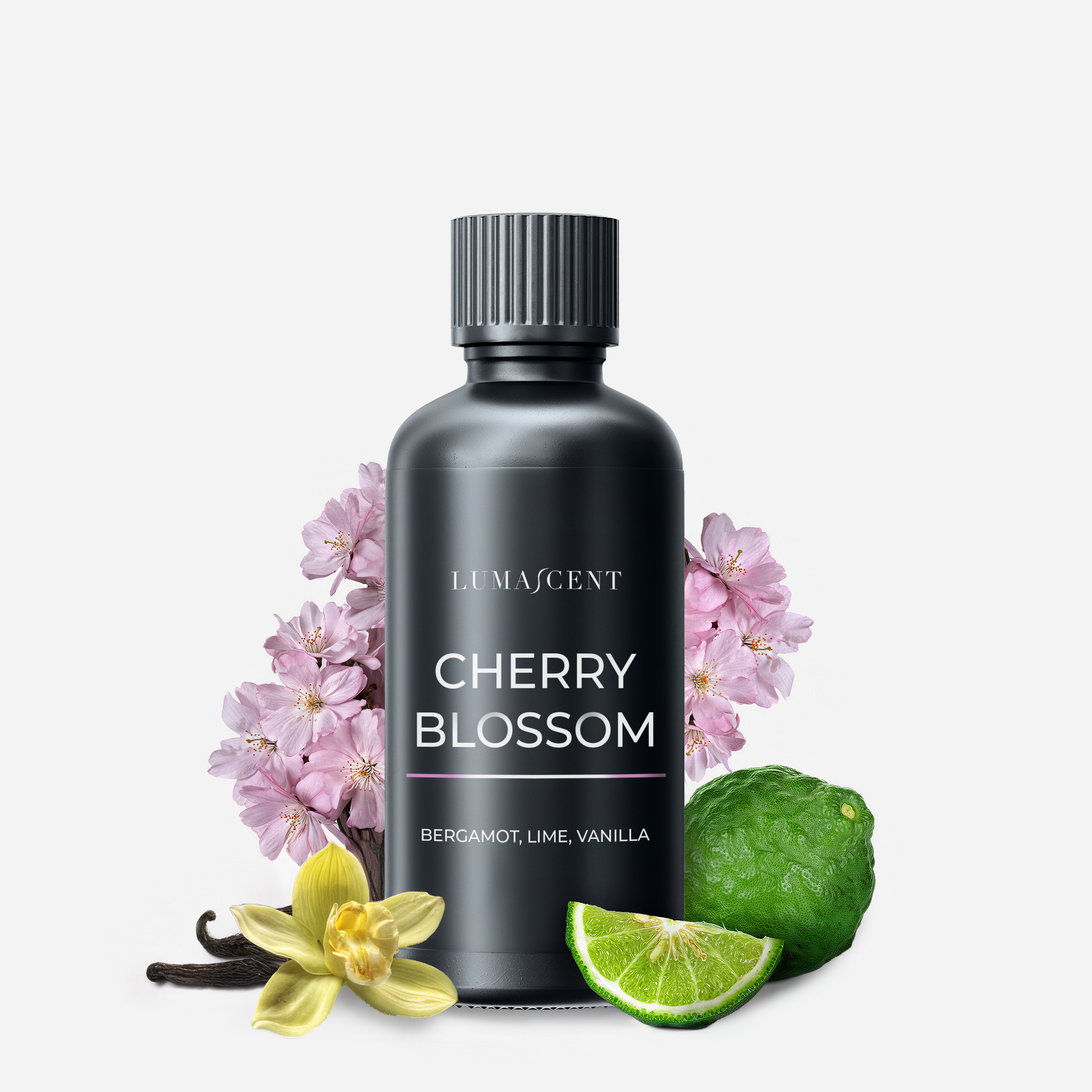 Cherry Blossom