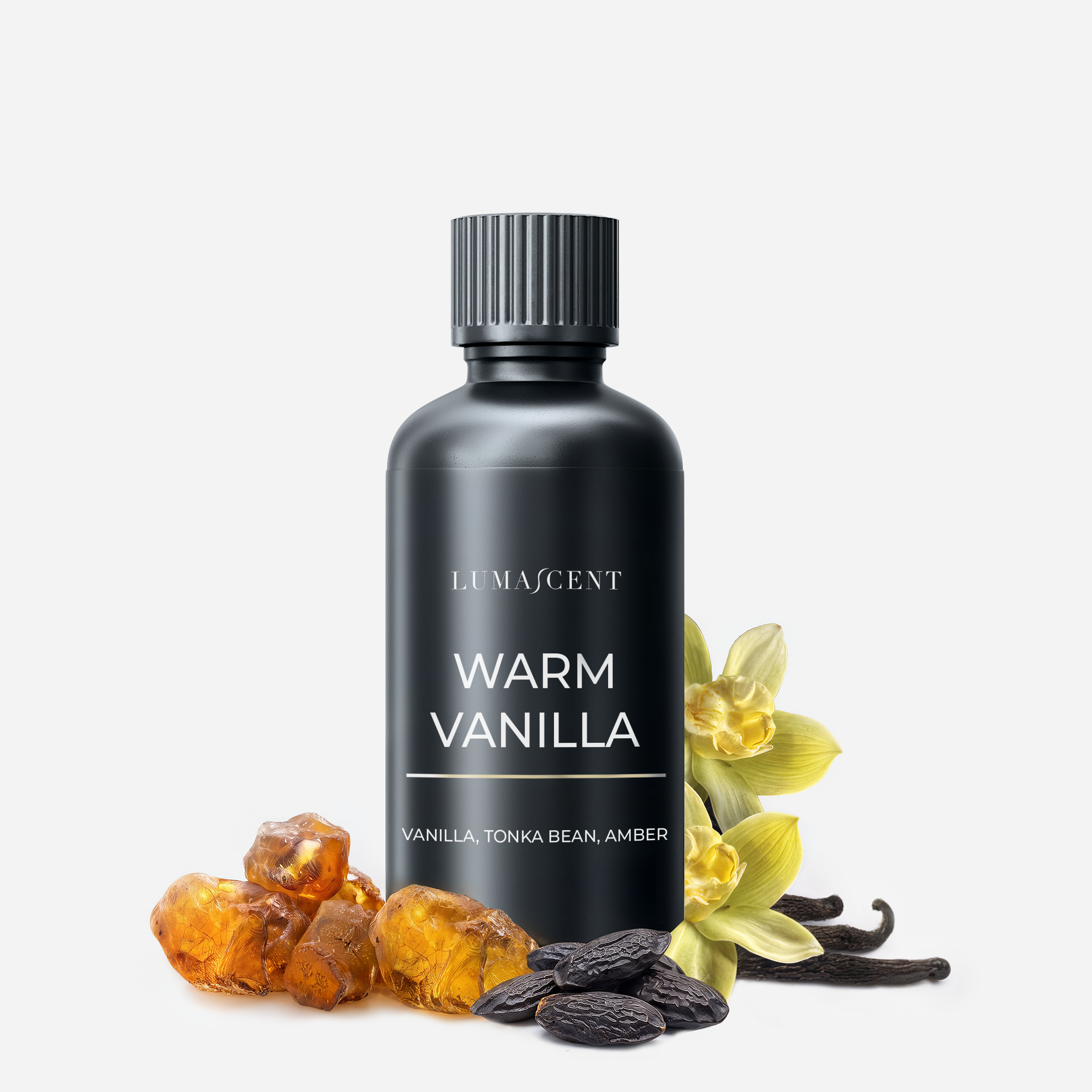 Warm Vanilla